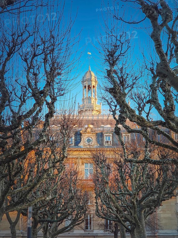 City Hall of Asnieres as seen through the sycamore trees alley outdoors in the park. Asnieres-sur-Seine mairie backyard facade view