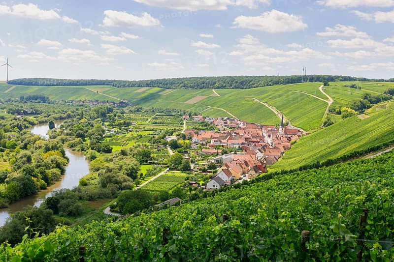View from Vogelsburg Castle on the Main Loop towards Escherndorf
