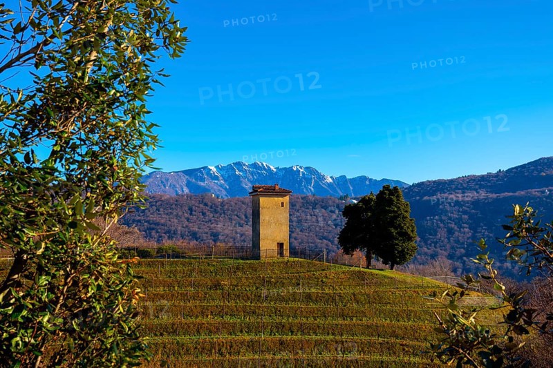 Vineyard in Collina di Oro with Mountain View in Lugano
