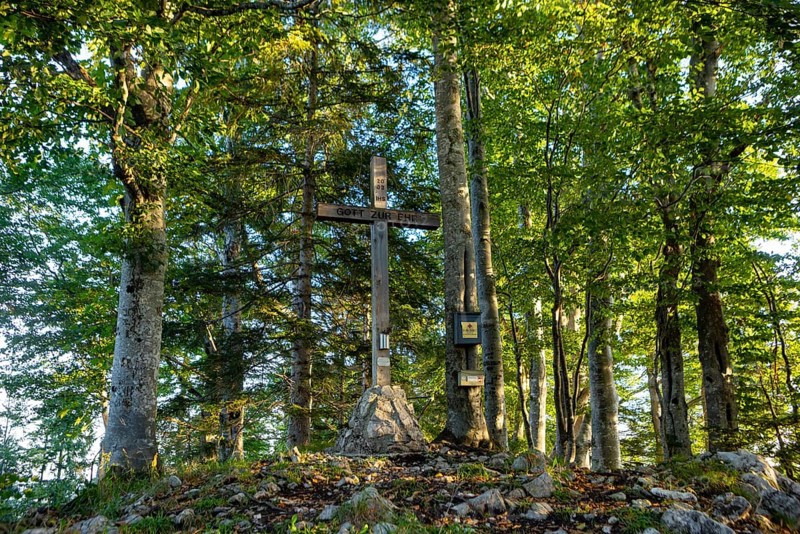 Summit cross in the deciduous forest on the Gurlspitze