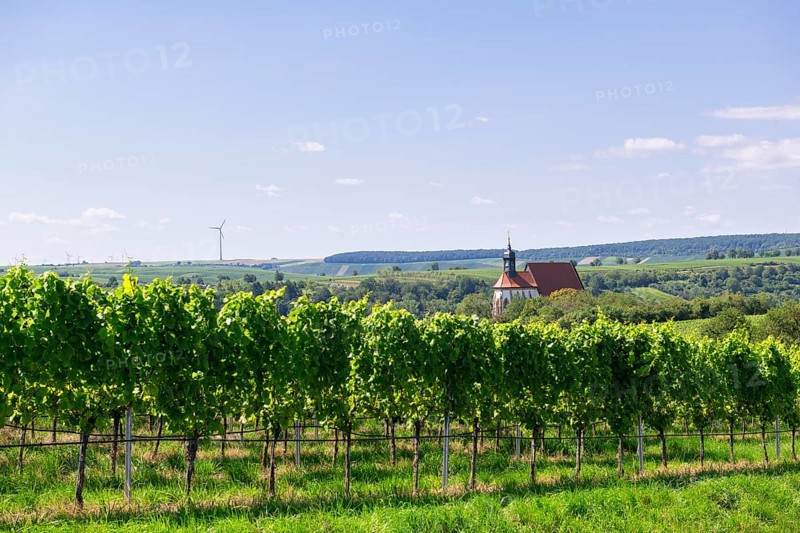 Pilgrimage church Maria im Weingarten