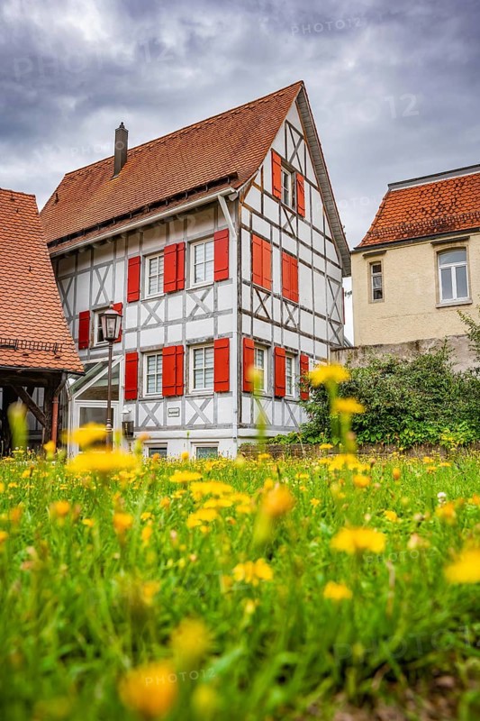 Historic half-timbered house on flower meadow