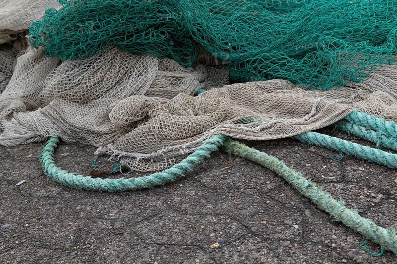 Symbolic image Fishing