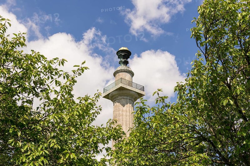 Constitutional column