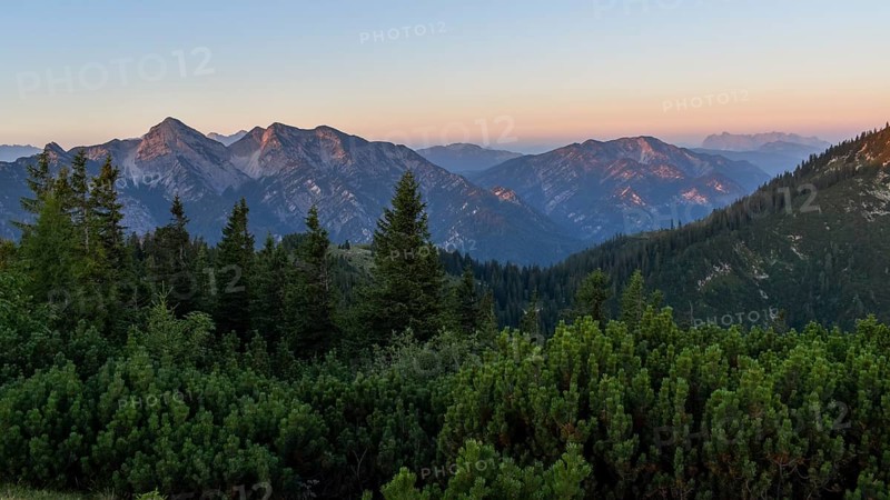 Healthy mountain forest in the Eastern Chiemgau Alps nature reserve at sunrise