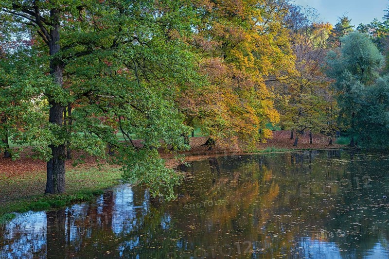 Park of Matzen Castle in autumn