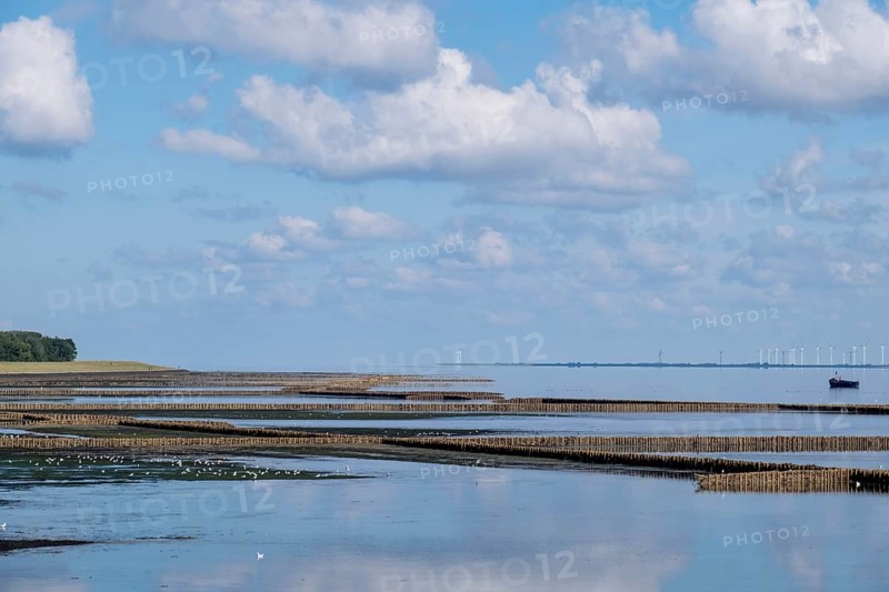 Mudflat landscape at low tide with lahnungen