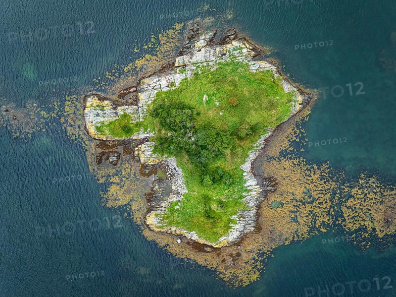 Aerial view of a tree island in Loch Sunart