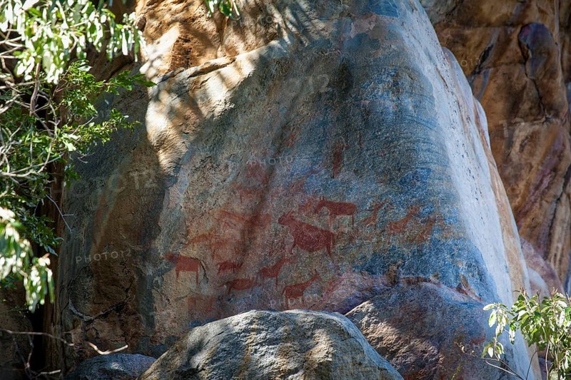 Rock rock painting in Tsodilo Hills