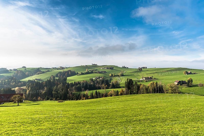 Hilly landscape with farms and green meadows in Appenzellerland