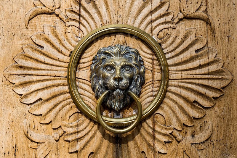 Door knocker