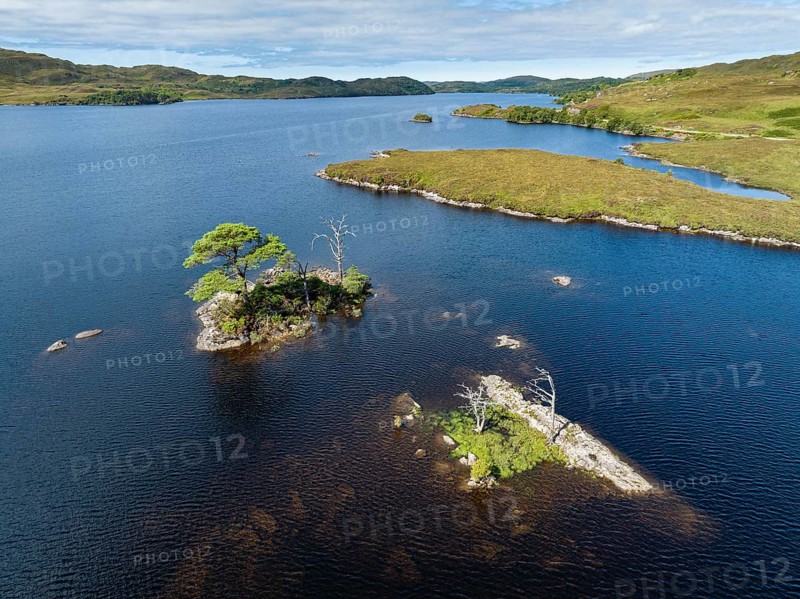 Aerial view of the freshwater loch Loch Assynt with small tree islands