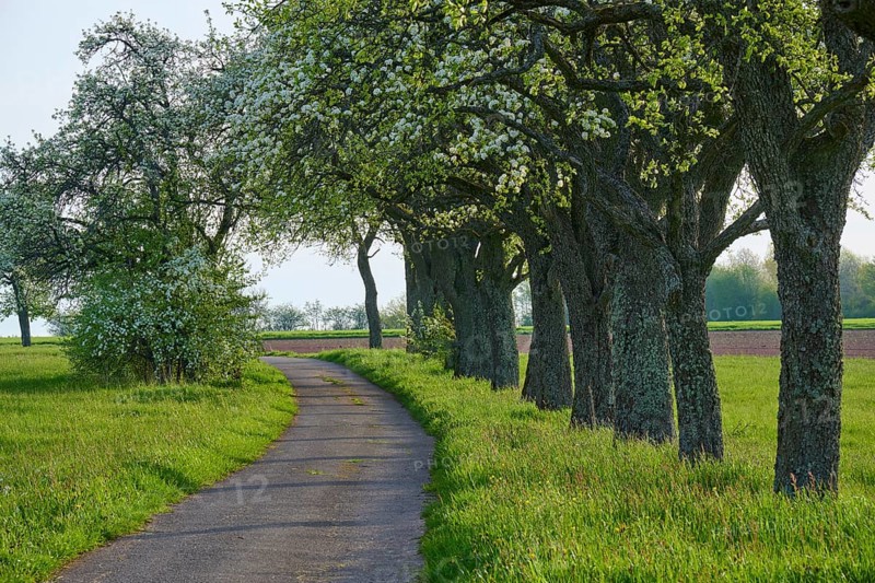 Field path