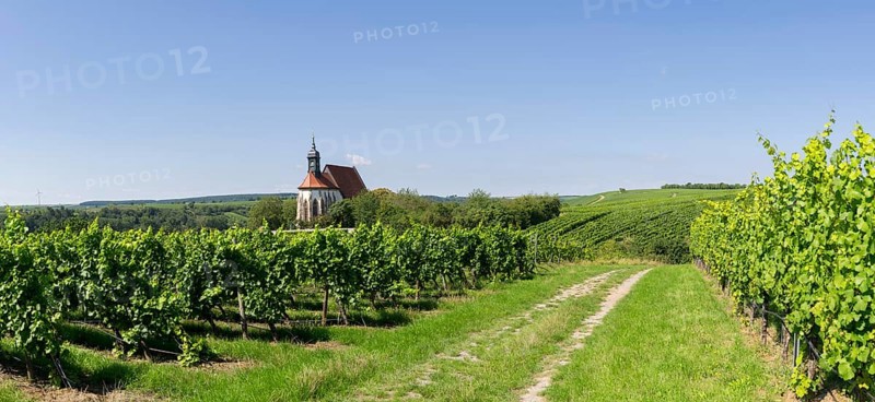 Pilgrimage church Maria im Weingarten