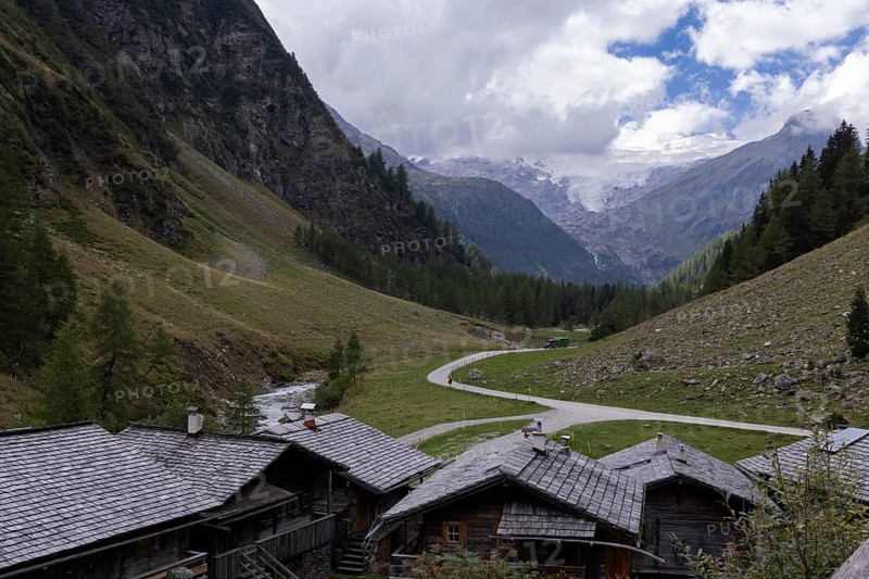 Alpine pasture