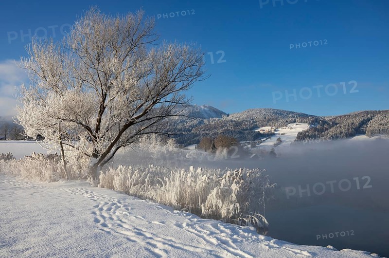 Snowy winter landscape at the Irrsee in the morning mist
