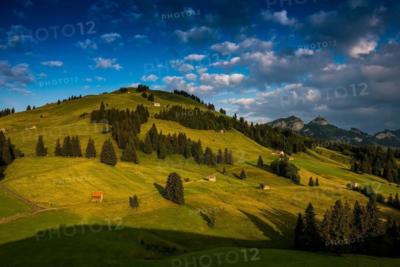 Alpine huts