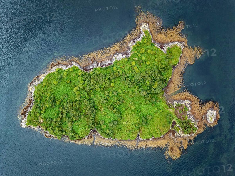 Aerial view of a tree island in Loch Sunart