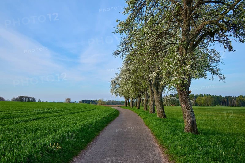 Field path