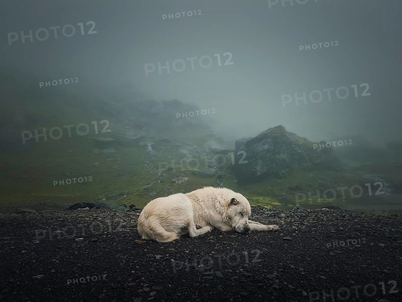 Moody and silent scene with a white