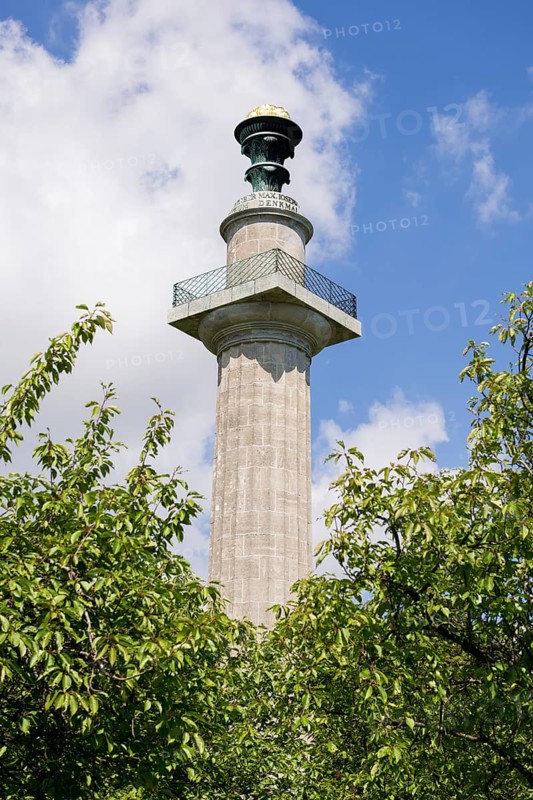 Constitutional column