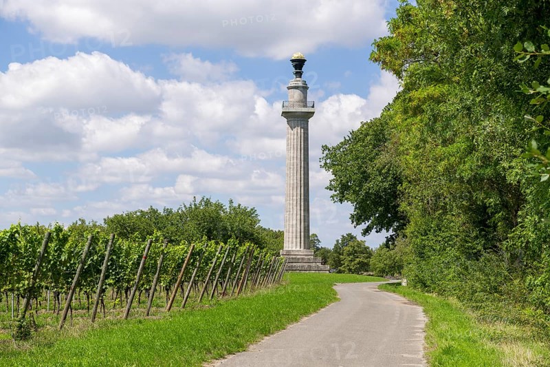Constitution Column