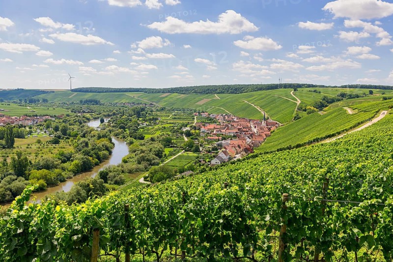 View from Vogelsburg Castle on the Main Loop towards Escherndorf