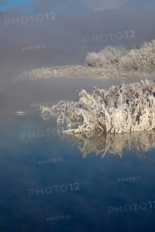 Winter landscape