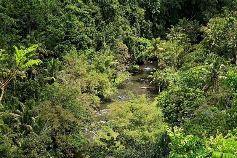 Tropical forest and white water rafting