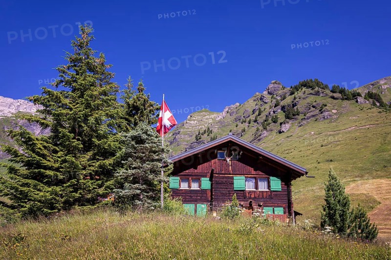 Alpine Chalet near Wengen