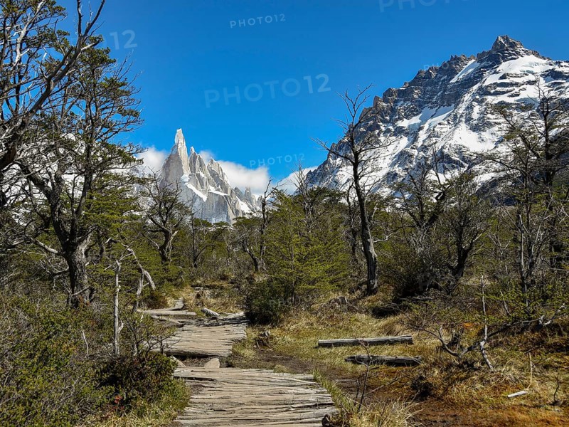 Hiking trail with wooden planks on the way to Cerro Torre
