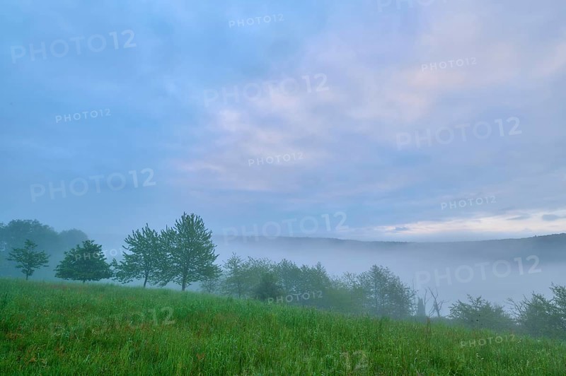 Meadow