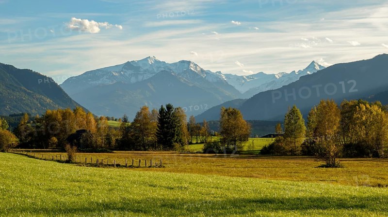 Moorland landscape in autumn near Saalfelden with Hoher Tenn and Kitzsteinhorn in the Hohe Tauern. Pinzgau