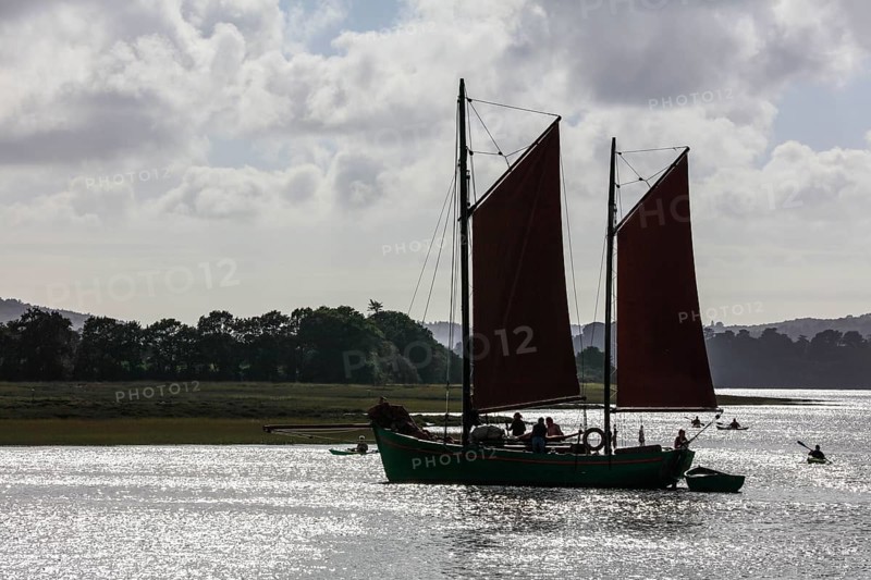 Parade of old sailboats in the Rade de Brest