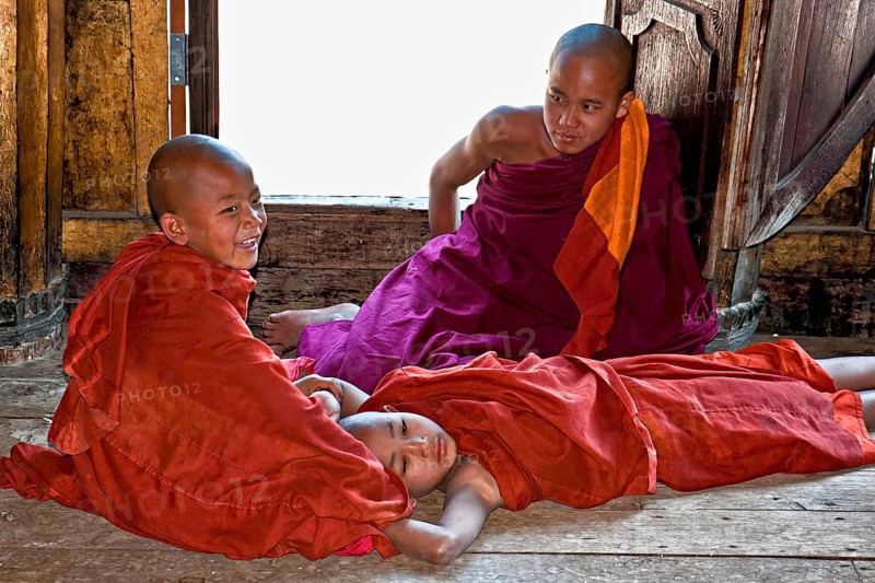 Novices at the window