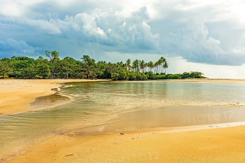 Sargi beach in the city of Serra Grande in Bahia surrounded by the sea and vegetation