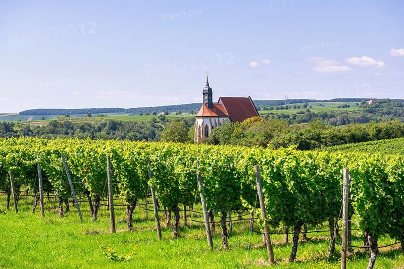 Pilgrimage church Maria im Weingarten