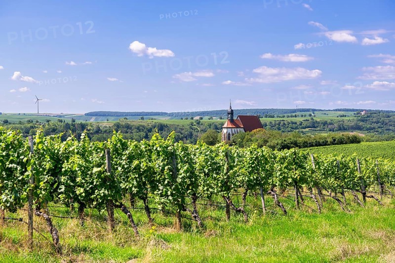 Pilgrimage church Maria im Weingarten