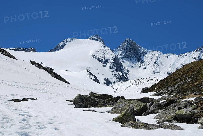 Reichenspitze and Gabler above Wildgerloskees glacier in spring with ski tracks