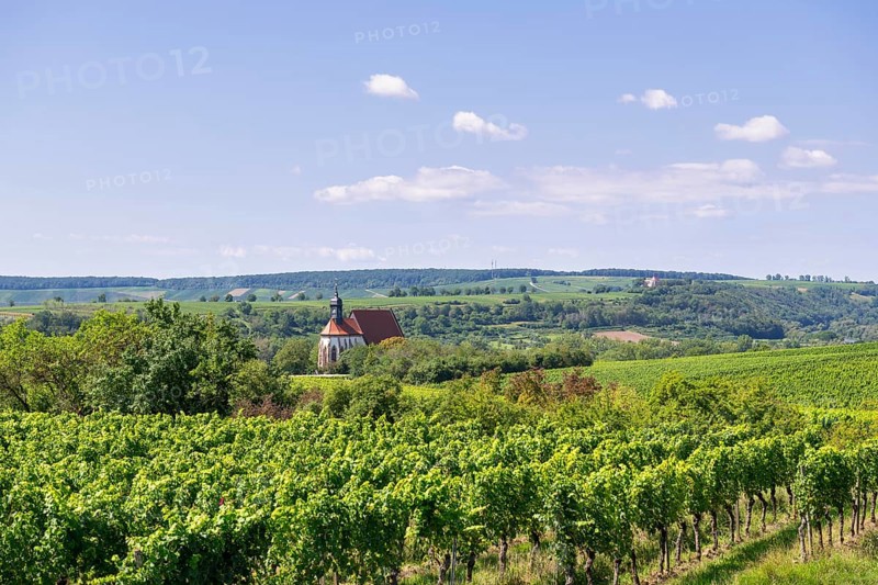 Pilgrimage church Maria im Weingarten
