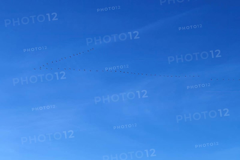 Blue sky with cirrostratus clouds