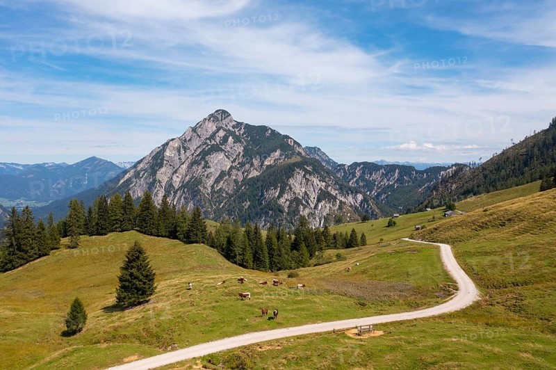 Alpine pasture area on the Postalm with Rinnkogel