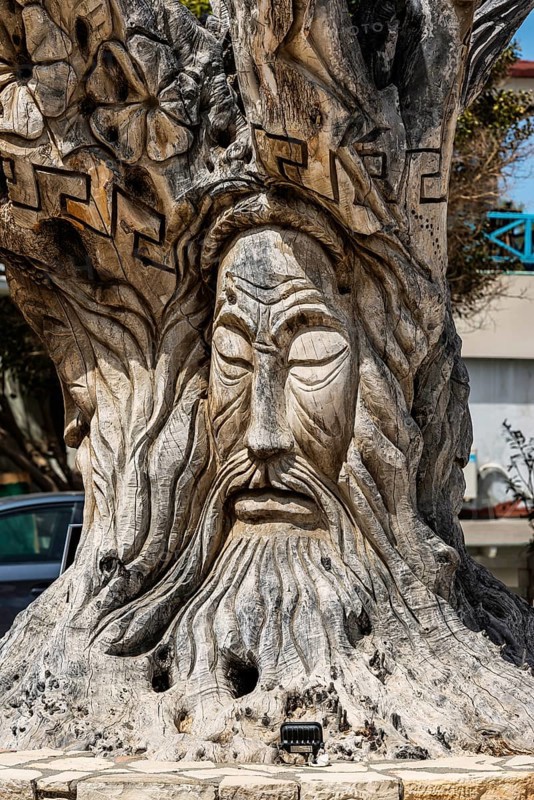Tree with carvings in Matala