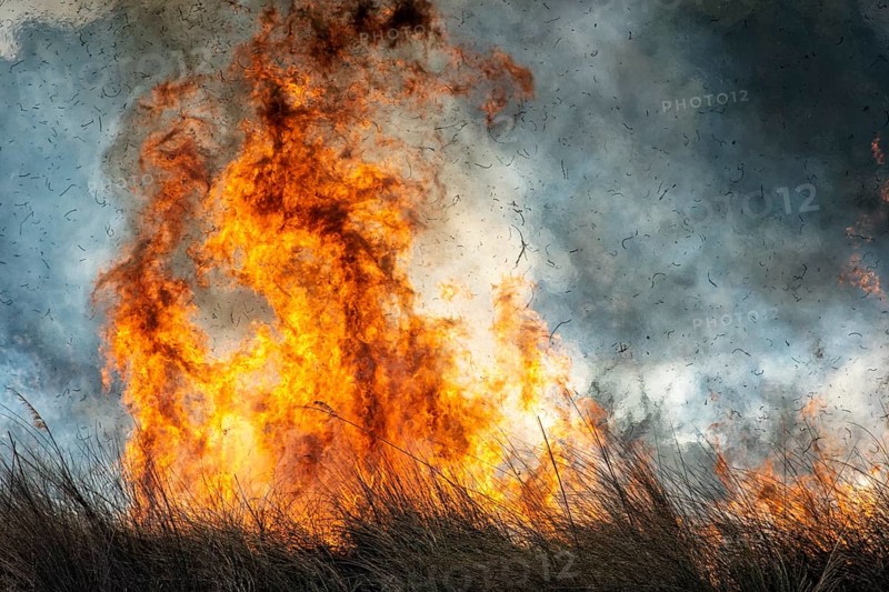 Bushfire in the African Savannah