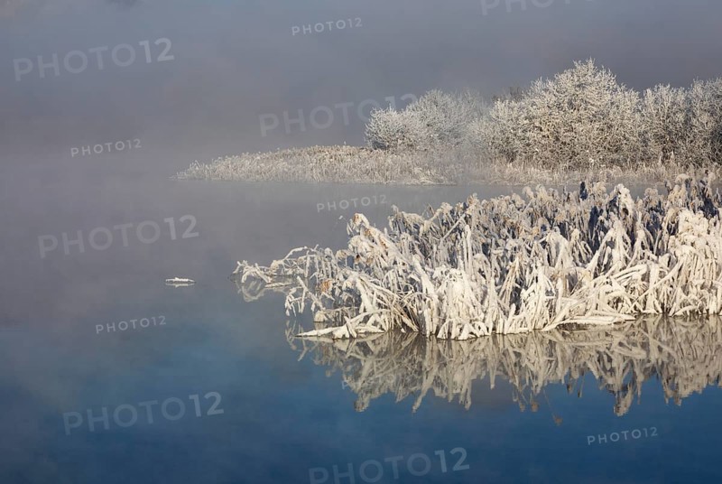 Winter landscape