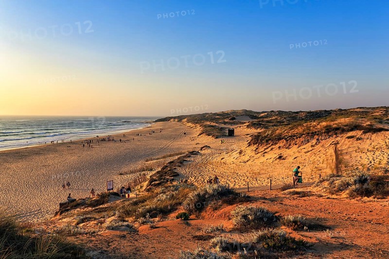 Coastline with dunes and beach
