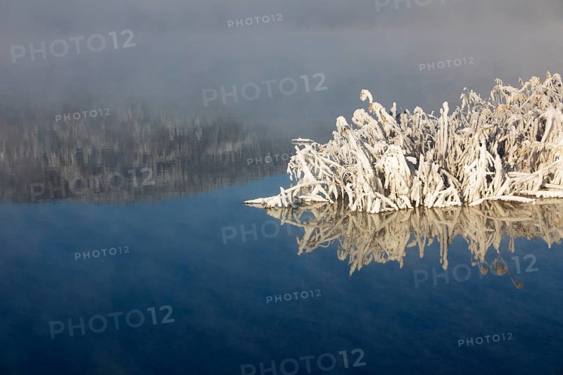 Winter landscape