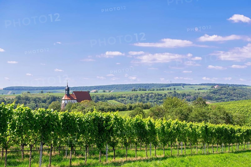 Pilgrimage church Maria im Weingarten