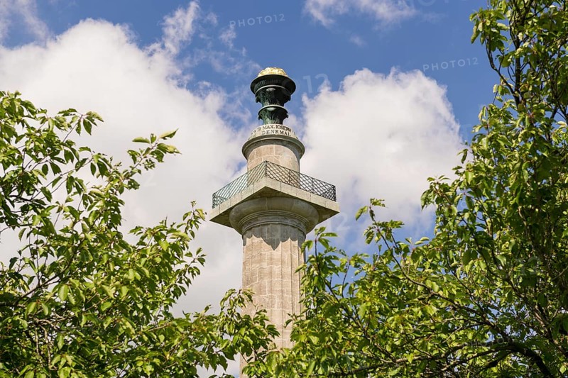 Constitutional column