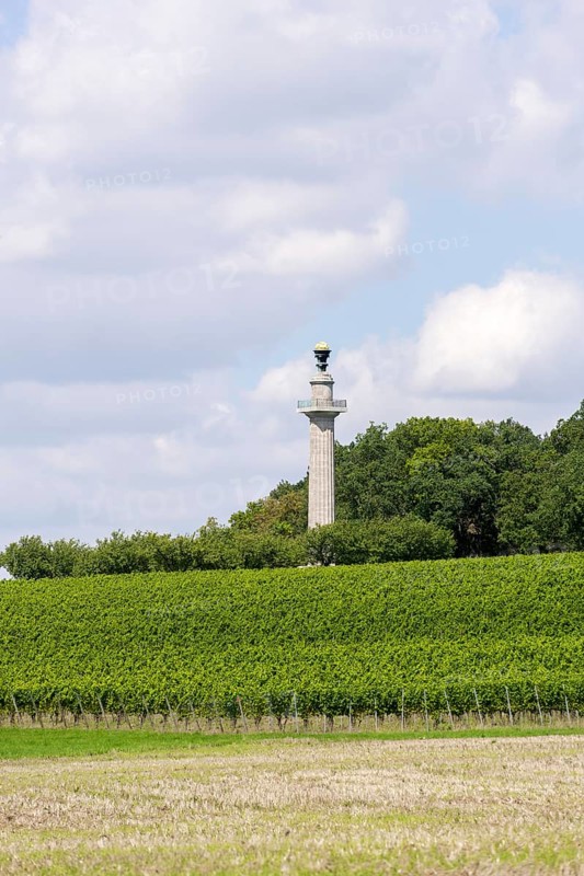 Constitution Column